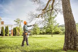 How Our Tree Care Process Works  in  Othello, WA